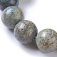 Fili di perle naturali di turchese africano (diaspro) G-E524-10-25mm-3