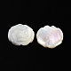 Cabujones tallados de concha blanca natural SSHEL-M022-07-2