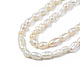 Natural Cultured Freshwater Pearl Beads Strands PEAR-N012-02F-4