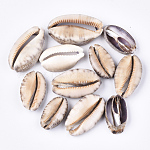 Cowrie Shell Beads, Undrilled/No Hole Beads, Seashell Color, 35~55x20~30x10~16mm, about 55pcs/500g