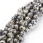 Chapelets de perles en jaspe dalmatien naturelle, ronde, 10mm, Trou: 1mm