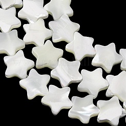 Fili di perle di conchiglia trochid naturale / trochus&nbsp;SH-CBA2978-17B