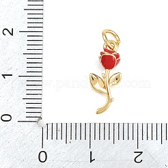 Messing Anhänger & Charms&nbsp;KK-H273-44G-02