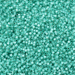 Miyuki Delica Perlen&nbsp;SEED-X0054-DB0627