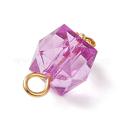 Pendentifs en acrylique transparent &nbsp;PALLOY-JF04258-01
