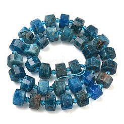Natürliche Apatit Perlen Stränge&nbsp;G-G453-G08-7x12mm