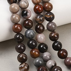 Natürliche versteinertes Holz runden Perle Stränge&nbsp;G-F266-08-8mm