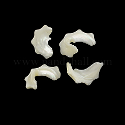 Chips de concha de troquídeo natural/hebras de cuentas de concha de troco&nbsp;SSHEL-F290-30