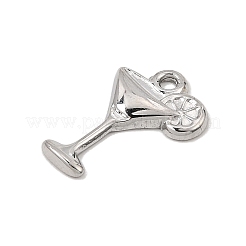 Colgantes de acero inoxidable 304&nbsp;SA-CBA0563-01P