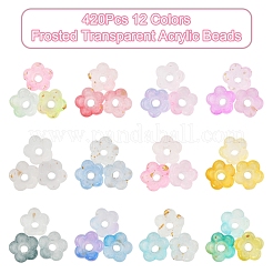 19.2 g 12 Farben mattierte transparente Acrylperlen&nbsp;OACR-FS0002-18