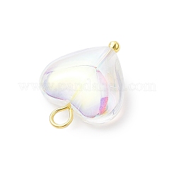 Pendentifs en verre&nbsp;PALLOY-JF04117-02