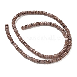 Chapelets de perles de coquille d'eau douce naturelle teinte&nbsp;BSHE-G039-07I