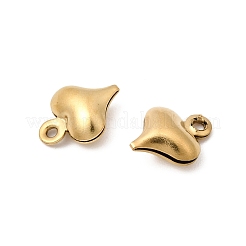 Ciondoli in acciaio inox 304&nbsp;STAS-G389-02G-05