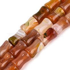 Chapelets de perles d'agate naturelle&nbsp;G-Q606-61