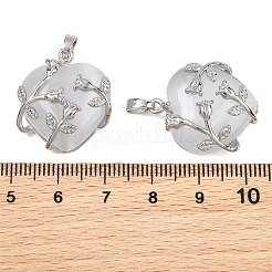 Valentine idée pour ses dons chat pendentifs oculaires&nbsp;X-CE-H006-05