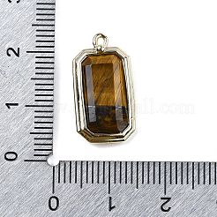 Les pendentifs naturels du tigre&nbsp;G-U019-04G-06