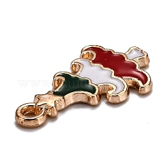 Aluminium Anhänger & Charms&nbsp;ENAM-S115-081