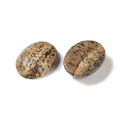 Natur Bildjaspisses cabochons&nbsp;G-B080-01A-11