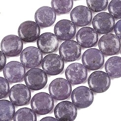 Natürliche Lepidolith / lila Glimmer Steinperlen Stränge&nbsp;G-L648-B09-15mm