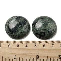 Natürliche Kambaba Jaspis Cabochons&nbsp;G-C115-02B-24