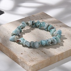 Natürliche Larimar Perlen Stretch Armbänder&nbsp;BJEW-JB02680-01