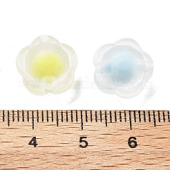 Gefrostet transparent Acrylperlen&nbsp;OACR-A032-16