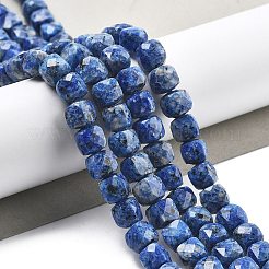 Perles de jaspe de sésame naturel teintées&nbsp;G-C179-B02-01