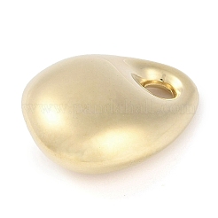 Pendentifs en acier inoxydable 304 avec placage ionique (IP)&nbsp;STAS-P366-61B-G
