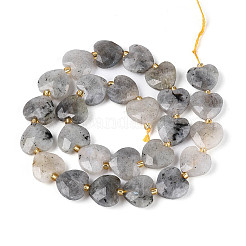Natur Labradorit Perlen Stränge&nbsp;G-P592-B14-01
