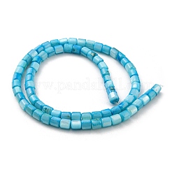 Naturali di acqua dolce perline shell fili&nbsp;SHEL-F008-04D