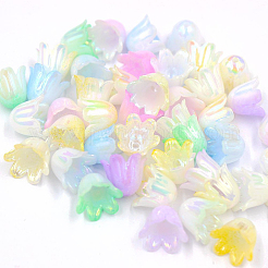 480 capuchon de perle en plastique de 6 couleurs&nbsp;FIND-SC0017-30