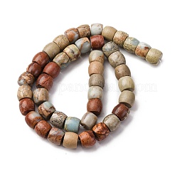 Natürliche Aqua Terra Jaspis Perlen Stränge&nbsp;G-L624-D03-8x6mm