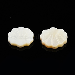 Cuentas de concha naturales de agua dulce&nbsp;X-SHEL-T007-02
