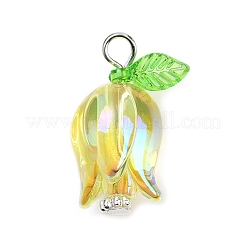 Pendentifs acryliques&nbsp;X-PALLOY-JF03534-02