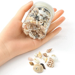 12 Arten natürliche gemischte Muschelperlen&nbsp;SSHEL-YW0001-05