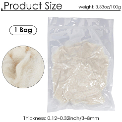 100 g Wollroving&nbsp;DIY-CY0002-75