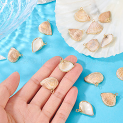 Colgantes de concha natural 15pcs&nbsp;BSHE-TA0001-26