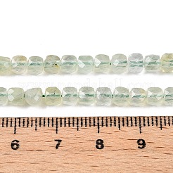 Perline Prehnite naturale fili&nbsp;G-N342-125