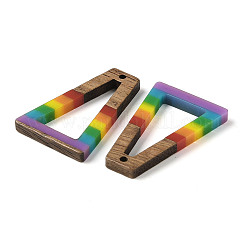 Colgantes de resina y madera de nogal con tema de arcoíris del orgullo&nbsp;WOOD-K012-11A
