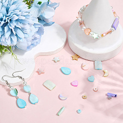 120 Stück natürliche Muschelperlen in Macaron-Farbe&nbsp;SHEL-SC0001-71