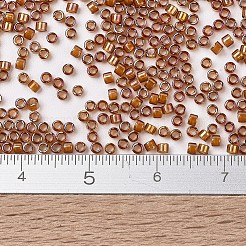 Miyuki Delica Perlen&nbsp;X-SEED-J020-DB1779