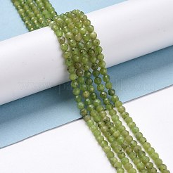 Naturelles d'olive jade perles brins&nbsp;G-D463-13B