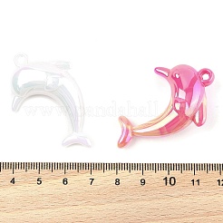 Acryl-Anhänger&nbsp;PACR-Z001-04