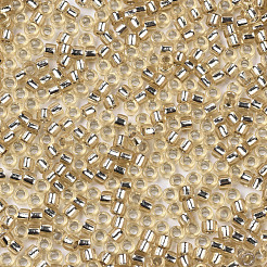 Abalorios de la semilla de cristal&nbsp;SEED-S042-04A-05