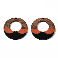 Colgantes de resina y madera de nogal&nbsp;X-RESI-S389-063
