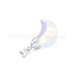 Ab Farbe überzogen Glas-Anhänger&nbsp;PALLOY-JF04595-02