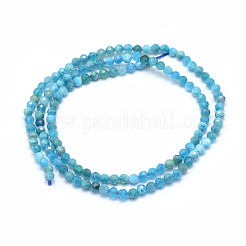 Natürliche Apatit Perlen Stränge&nbsp;X-G-E411-36-2mm-01