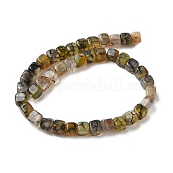 Natur Drachen Venen Achat Perlen Stränge&nbsp;G-G177-E11-05