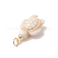 Pendentifs en turquoise synthétique teints&nbsp;PALLOY-JF05075-02
