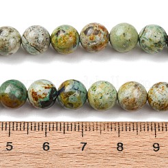 Natürliche peruanische türkisfarbene (Jaspis) Perlenstränge&nbsp;G-T150-A01-8mm